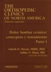 Orthopedic Clinics Of North America.tomo 4/2001. La Inestabilidad En La Artroplastia De Las Grandes Articulaciones