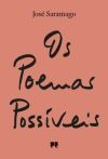 Os Poemas Poss&iacute;veis