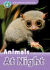 Oxford Read and Discover 4. Animals at Night MP3 Pack