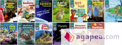 NEW Read Write Inc - Phonics Set 7 Grey Non-fiction Book Bag Books pack of 13 (1 of each title)