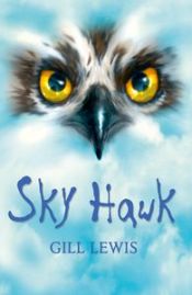Portada de Rollercoasters: Sky Hawk: Gill Lewis 2021