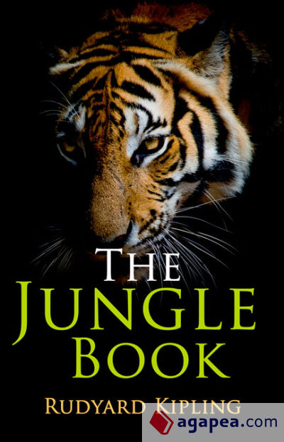 Rollercoasters: The Jungle Book