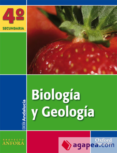 Ánfora Biología y Geología4º ESO  la (and)