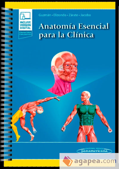 ANATOMIA ESENCIAL PARA LA CLINICA