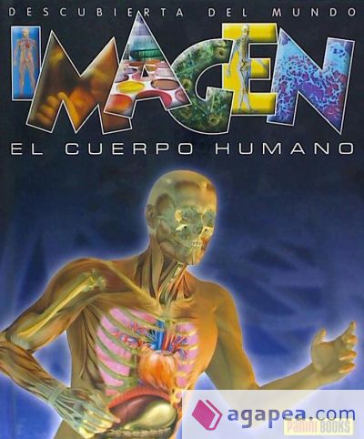 EL CUERPO HUMANO ( IMAGEN)