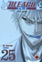 Portada de Bleach 25