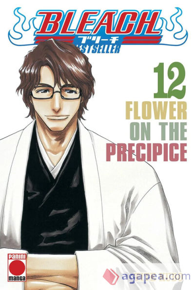 Bleach bestseller 12