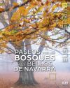PASEOS POR LOS BOSQUES MAS BELLOS DE NAVARRA