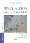 Pelajes Del Caballo