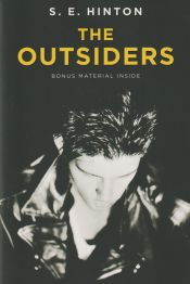 Portada de The Outsiders. Platinum Edition