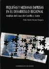 PEQUE&Ntilde;AS Y MEDIANAS EMPRESAS EN EL DESARROLLO REGIONAL. AN&Aacute;LISIS DEL CASO DE CASTILLA Y LE&Oacute;N