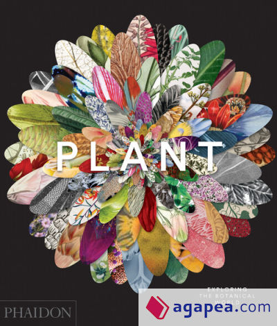 Plant: Exploring the Botanical World