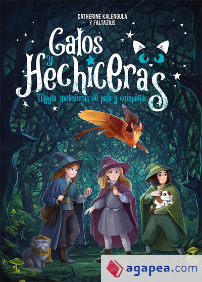 Gatos y hechiceras