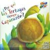 POR QUE LAS TORTUGAS TIENEN CAPARAZON?