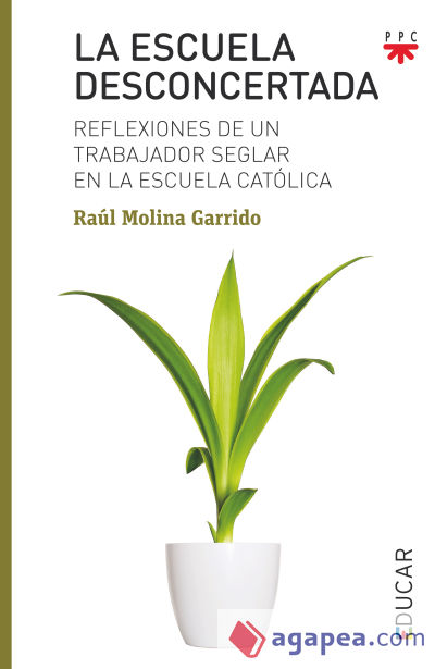 La escuela desconcertada: Reflexiones de un trabajador seglar en la escuela católica