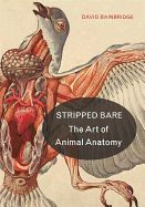Portada de Stripped Bare: The Art of Animal Anatomy