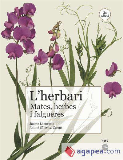 L'HERBARI. MATES, HERBES I FALGUERES