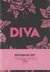 Pack 2 cuadernos cosidos. La vecina rubia. Rosas y plumas