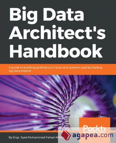 Big Data Architectâ€™s Handbook