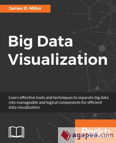 Big Data Visualization