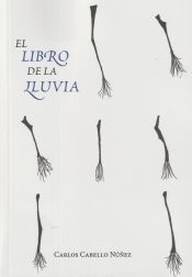 Portada de El libro de la lluvia