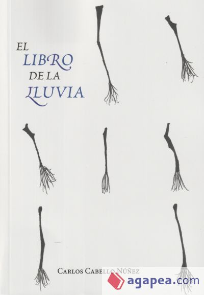 El libro de la lluvia