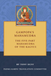 Portada de Gampopaâ€™s Mahamudra