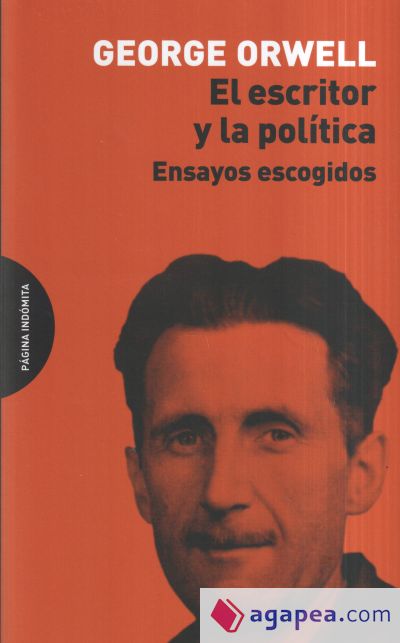 El escritor y la política