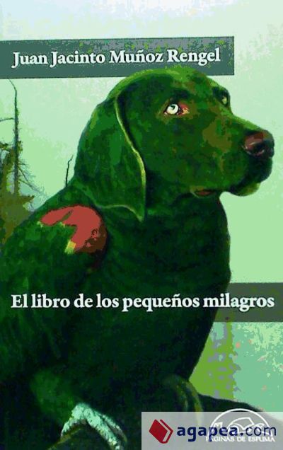 El libro de los pequeños milagros