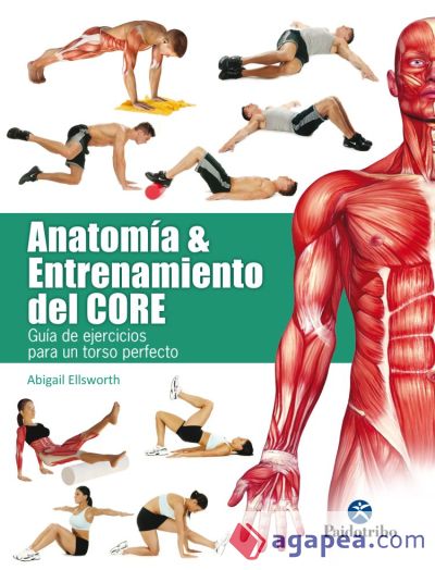 Anatomía & entrenamiento del CORE (color)