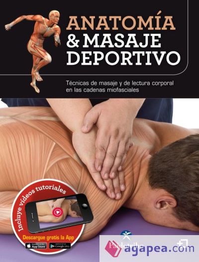 Anatomía y masaje deportivo