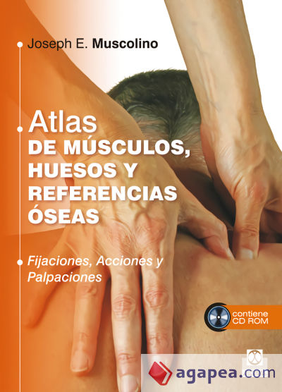 Atlas de músculos, huesos y referencias óseas