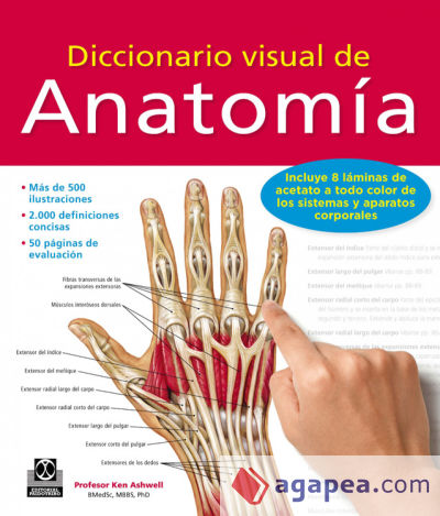Diccionario visual de anatomía