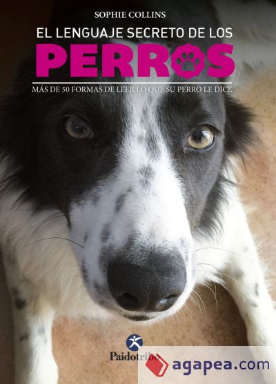 El lenguaje secreto de los perros