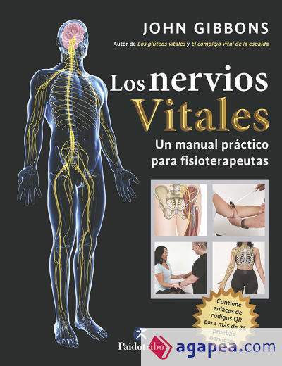 Los nervios vitales