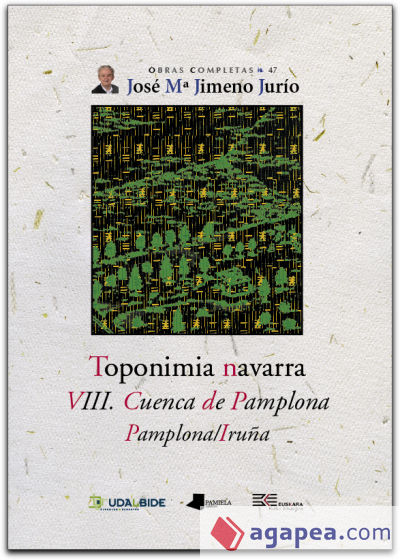 Toponimia Navarra. VIII. Cuenca de Pamplona. Pamplona/Iruña