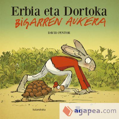 Erbia eta Dortoka. Bigarren aukera