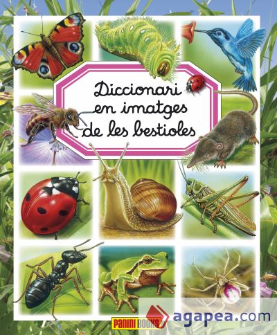 DICCIONARI EN IMATGES DE LES BESTIOLES