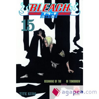 Bleach Bestseller 15