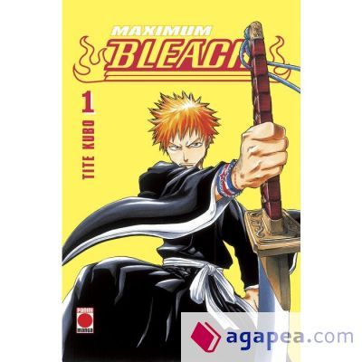 Maximum Bleach 01