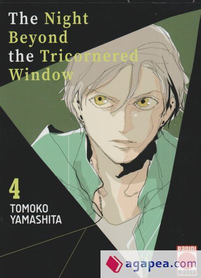 The Night Beyond The Tricornered Window 4