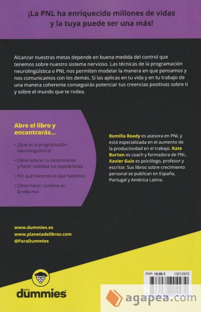 PNL para Dummies