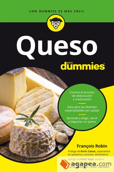 Queso para dummies