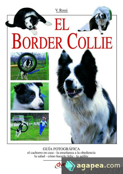 El border collie
