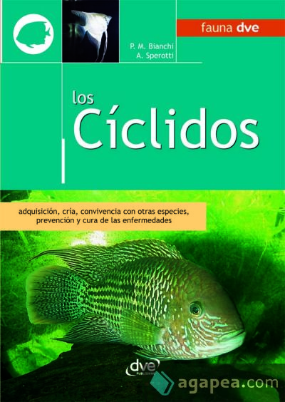 Los cíclidos