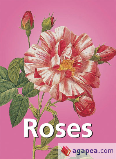 Roses (Ebook)