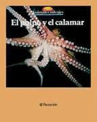 Portada de El pulpo y el calamar (Ebook)