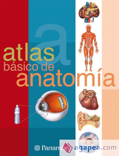 ATLAS BASICO DE ANATOMIA ATLAS BASICO DE ANATOMIA