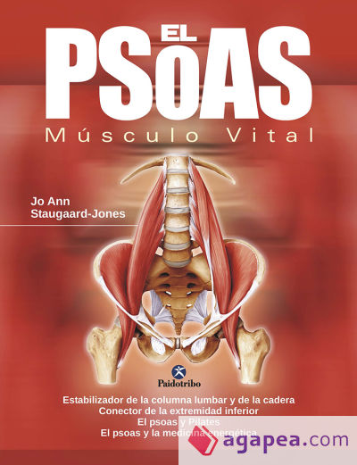 EL PSOAS. Músculo Vital