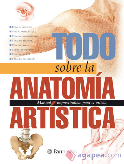 TODO SOBRE LA ANATOMIA ARTISTICA